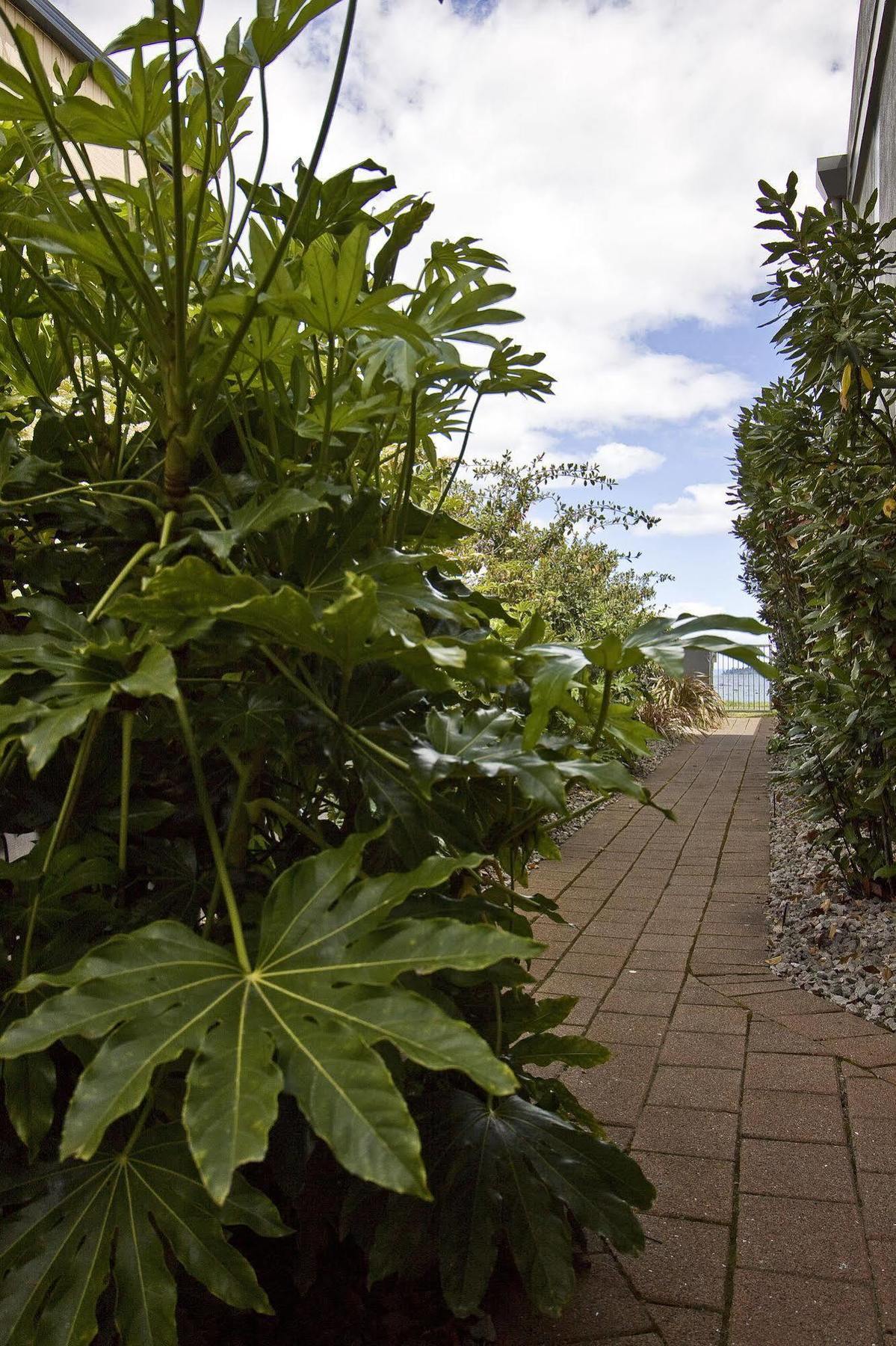Clearwater Motor Lodge Taupo Eksteriør bilde